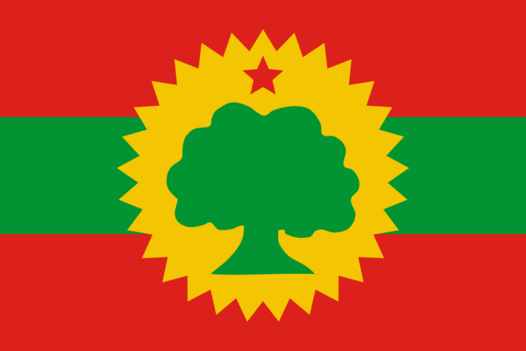 Descubre la fascinante heráldica de Oromia: símbolos y significados