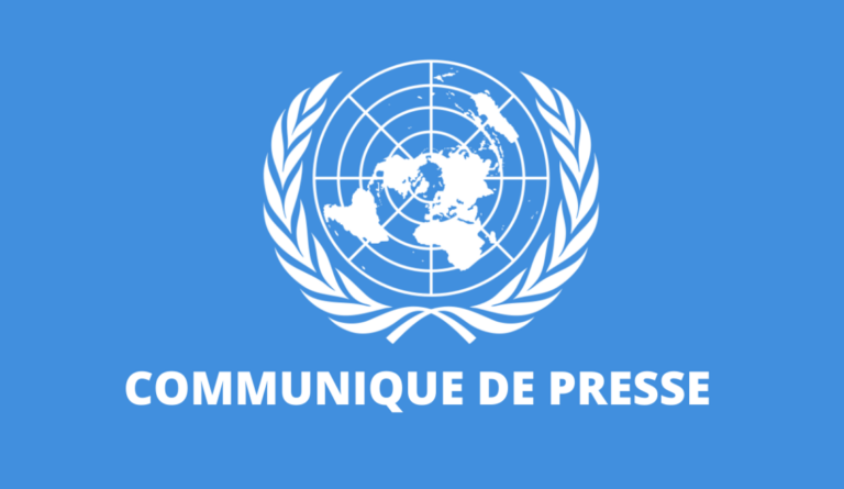 Heraldica De Mobaye La Riqueza Simb lica De Un Escudo