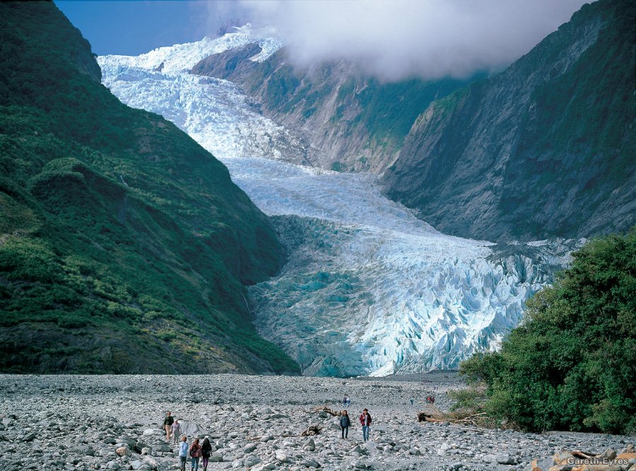 Fox Glacier Descubre El Simbolismo Detrás De Su Heráldica 8698